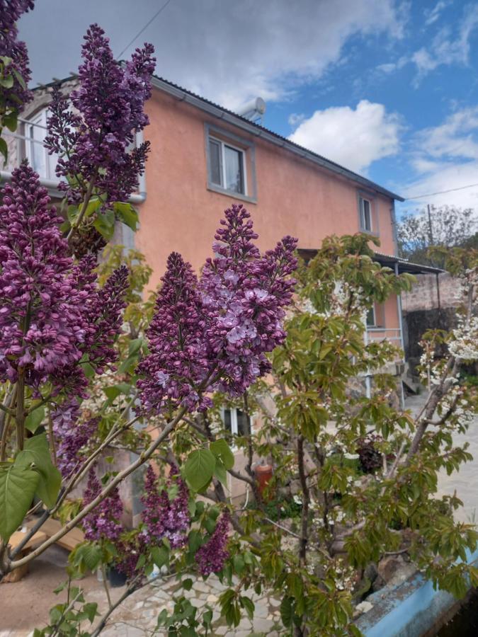 Byurakan Guesthouse & Cottage Εξωτερικό φωτογραφία